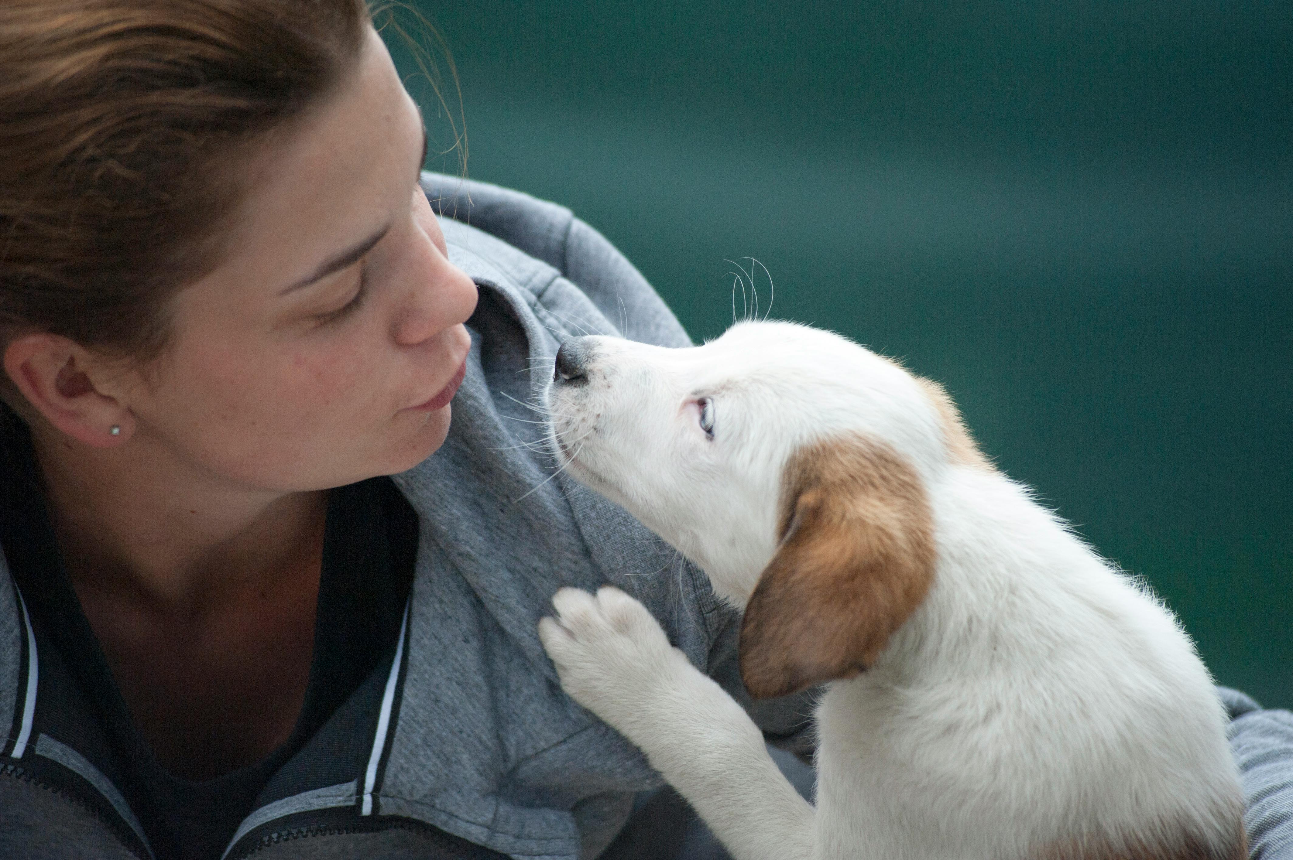 Woman holds sweet puppy